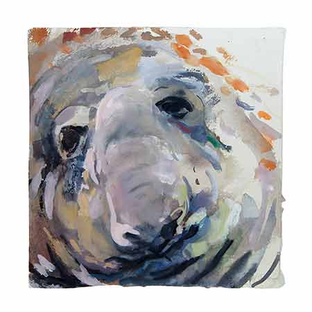 Elton the elephant seal 2014, Gouache.