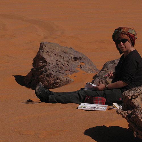 Egyptian Sahara 2009